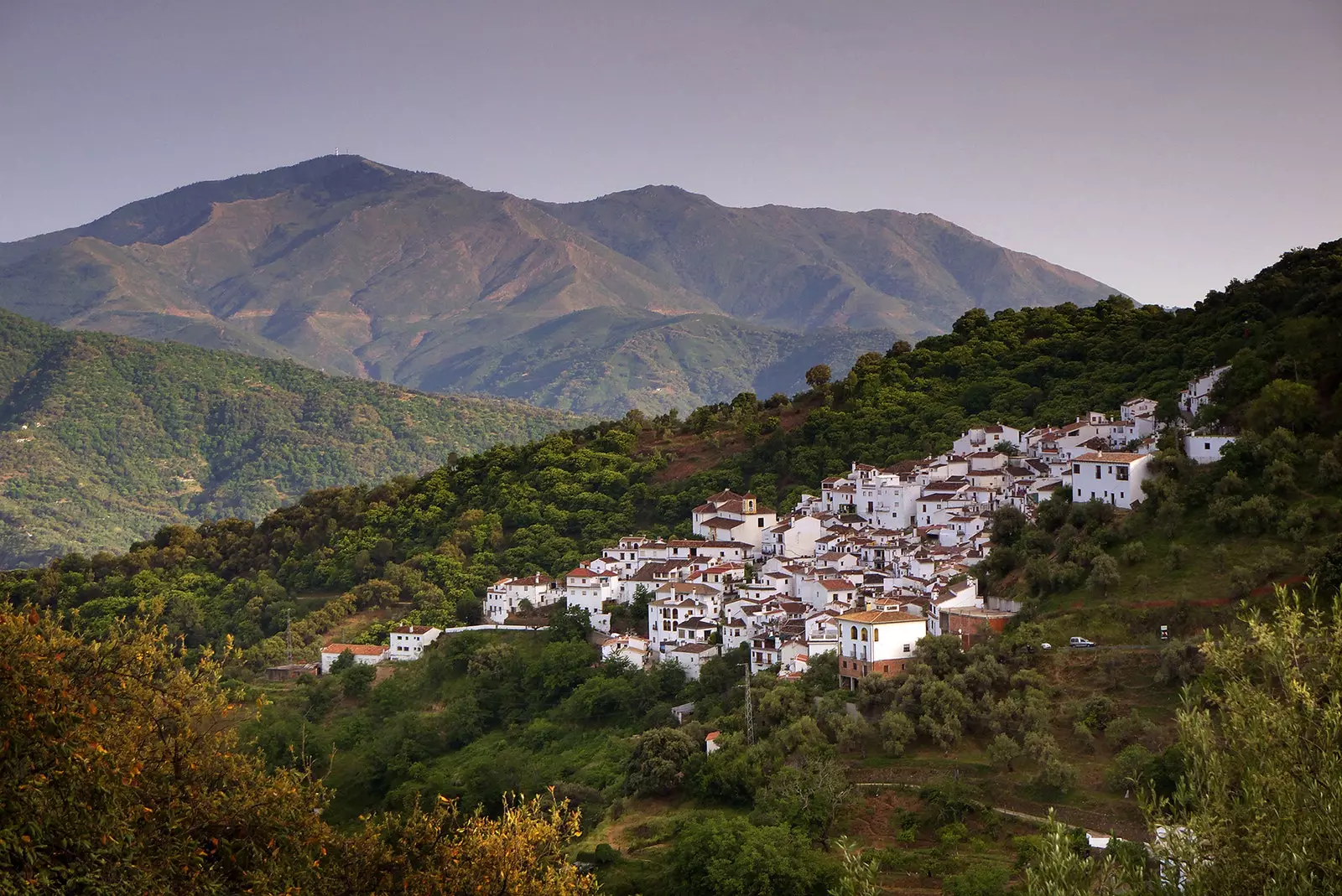 Benalauría a cidade para descobrir o coração verde de Mlaga