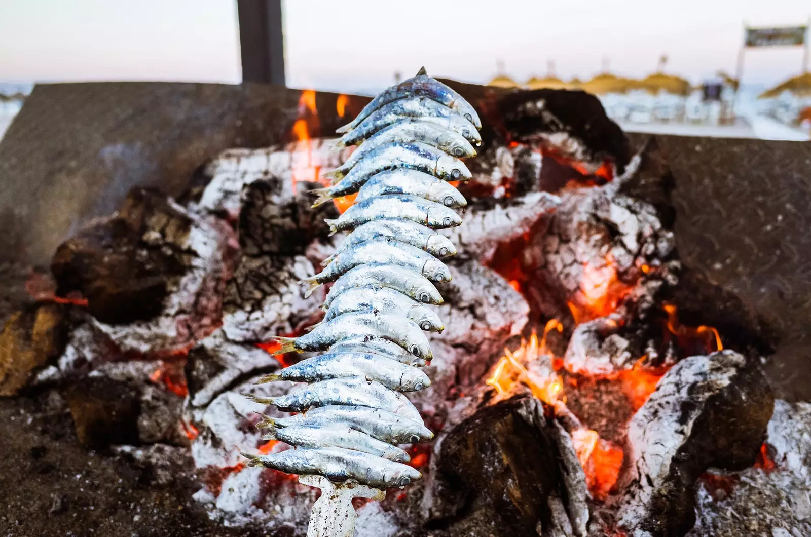 Est l'un des plats typiques l'espeto de sardinas