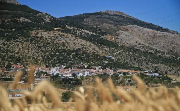 Route om Malaga te eten deze zomer