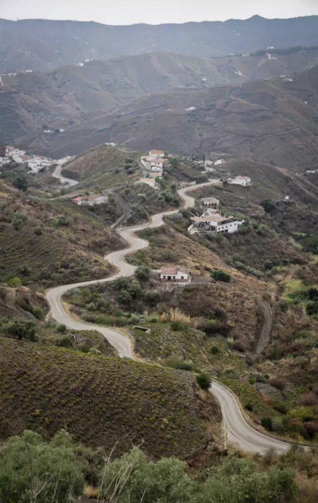 Route om Malaga te eten deze zomer