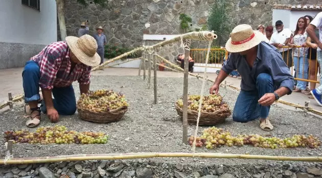 Route om Malaga te eten deze zomer