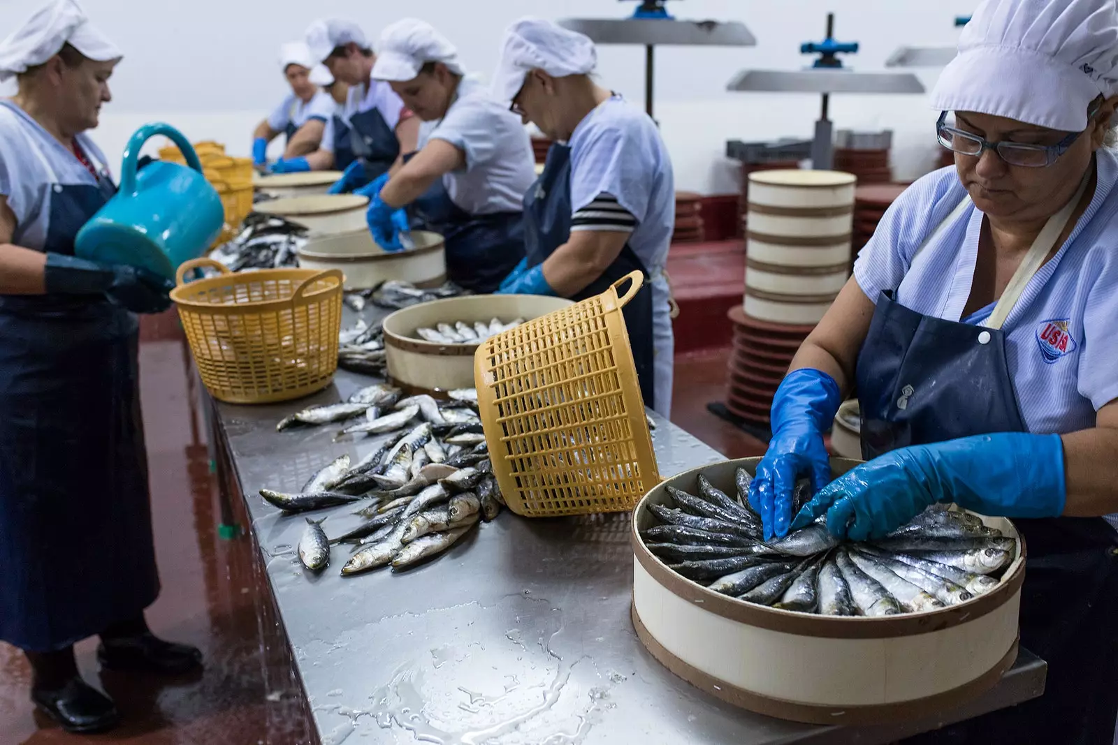 Stevedores in Isla Cristina