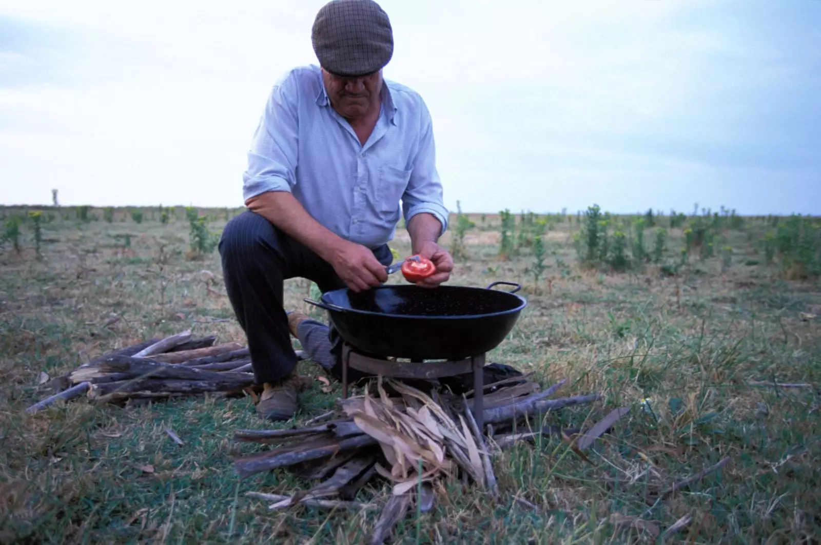 La vie dans la dehesa et les tomates qui ont le goût de la tomate