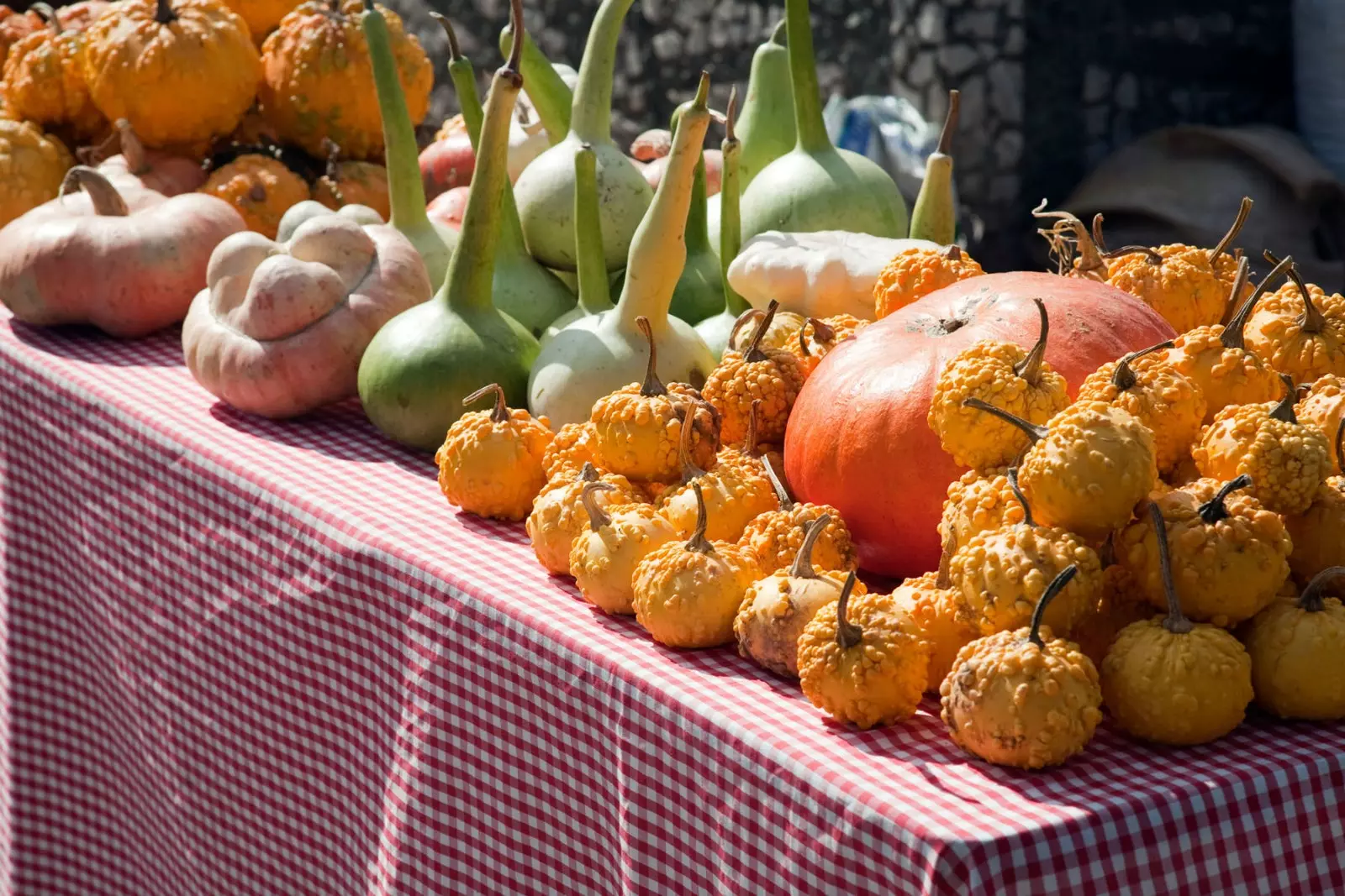 pumpkins