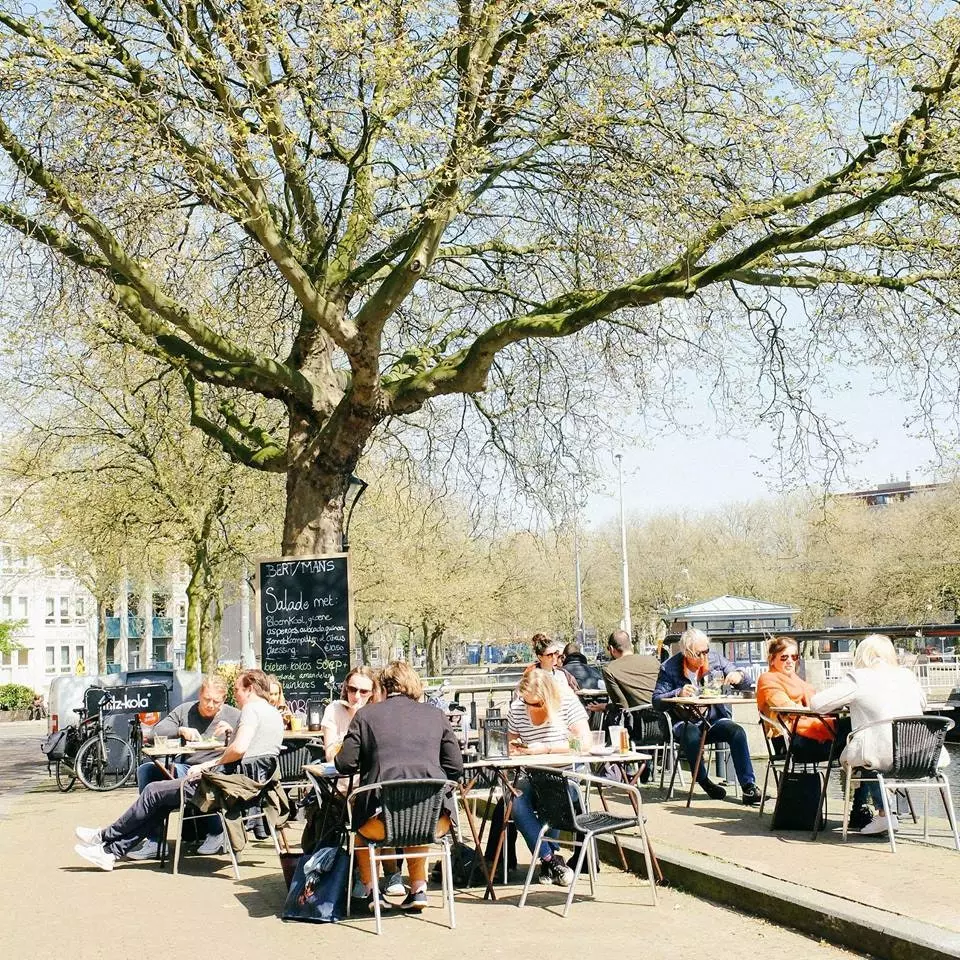 Tudo acontece nesta pequena rua em Rotterdam