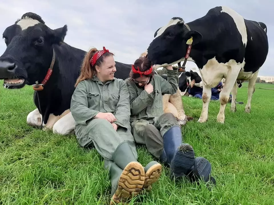 Farma Koeknuffelen