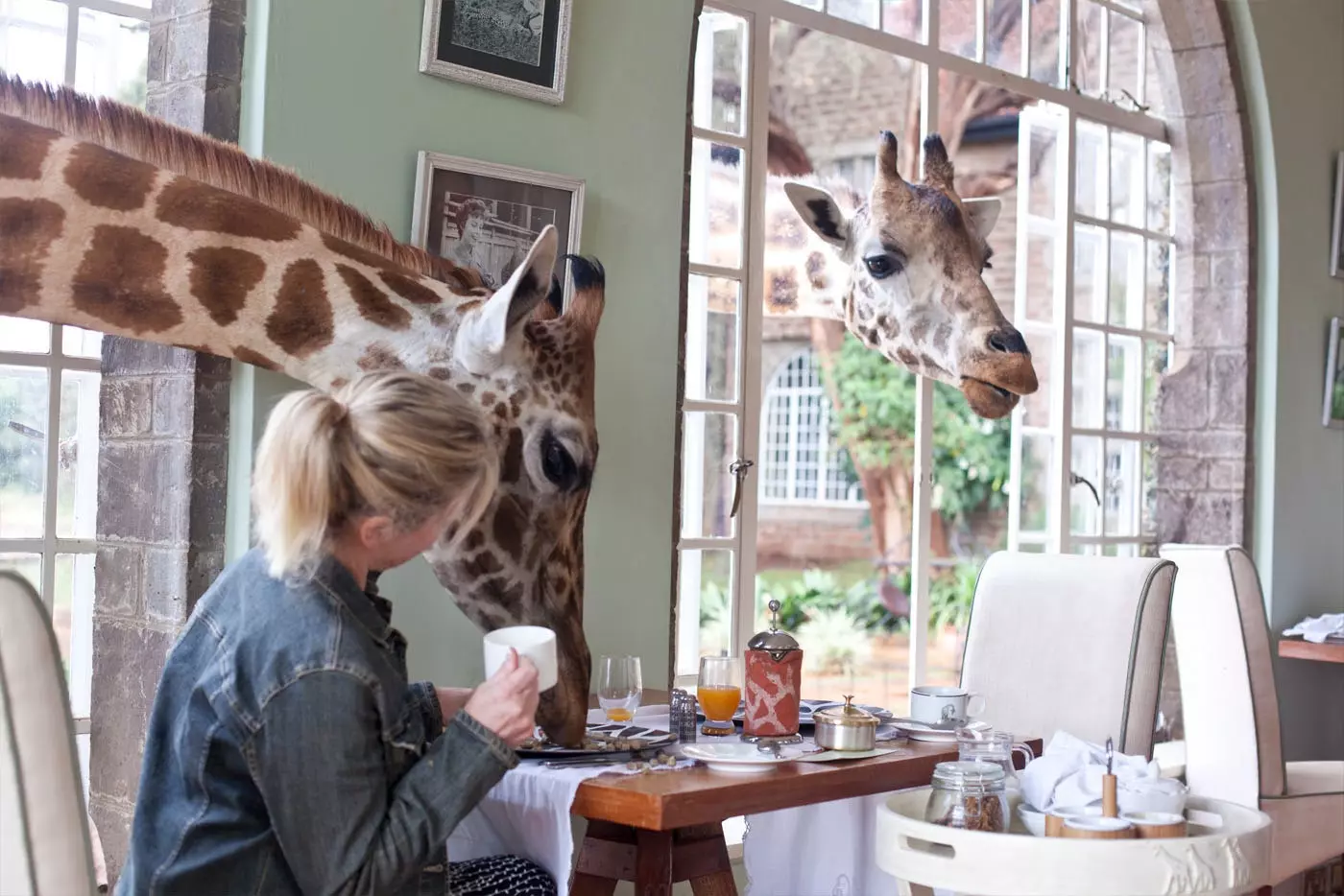 أعد الاتصال بالطبيعة في Giraffe Manor