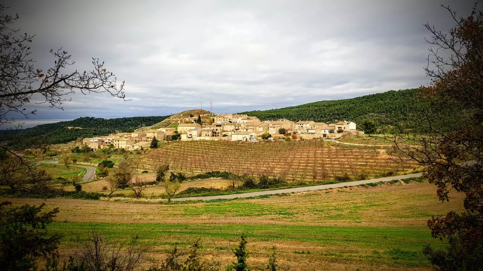 روستای سنان