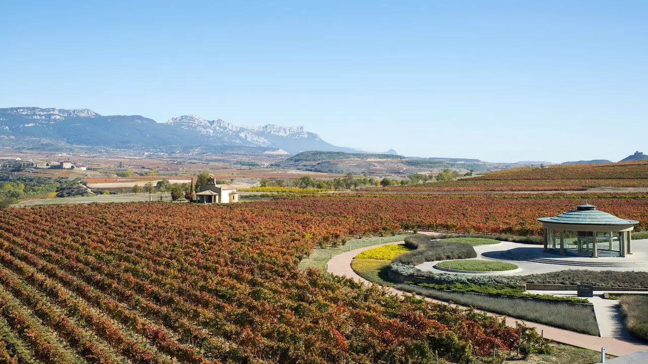 Briones, vinařská turistika ve své nejčistší podobě