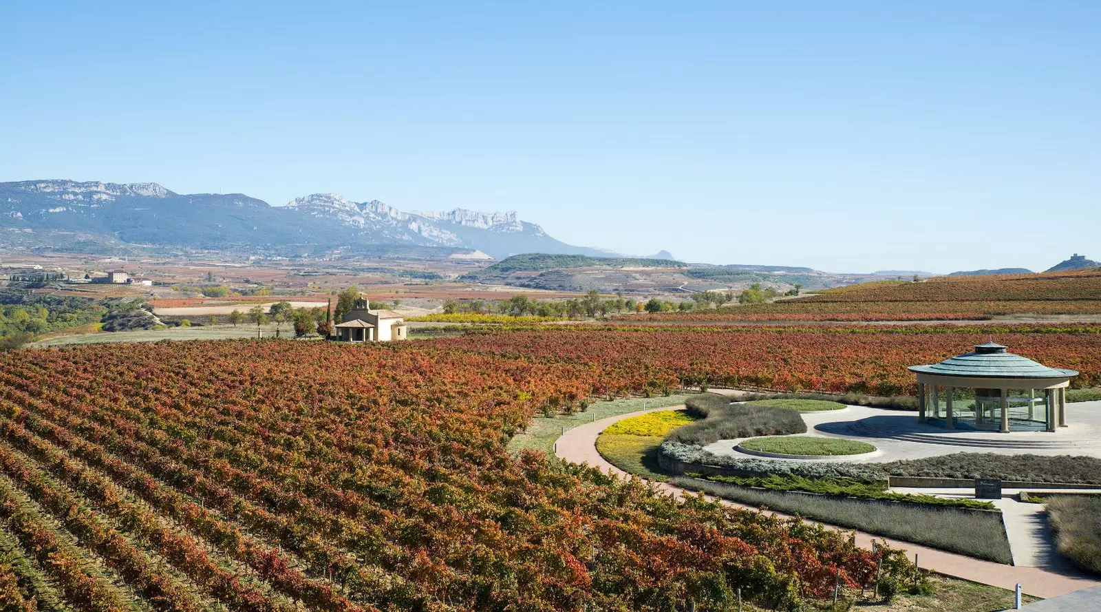 Briones qalbidagi Vivanco vino zavodi