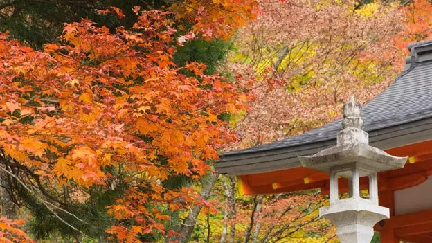 Une nuit au temple : tourisme spirituel au Japon