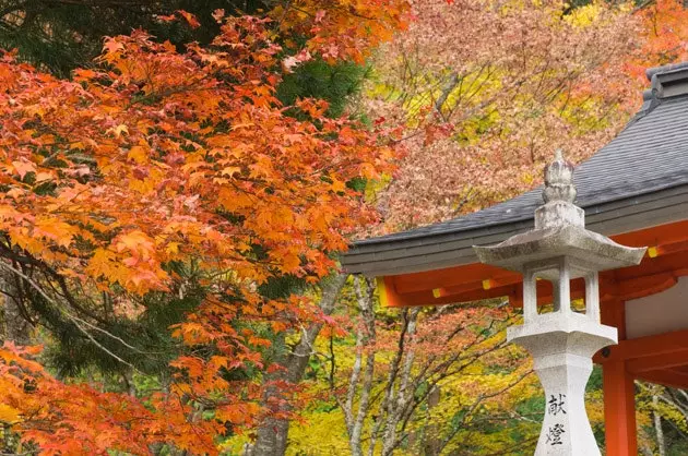 En natt i templet andlig turism i Japan