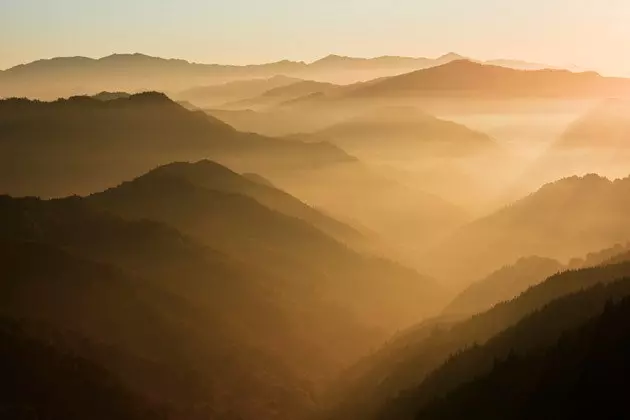 高野山