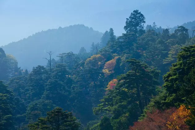 Koyasan