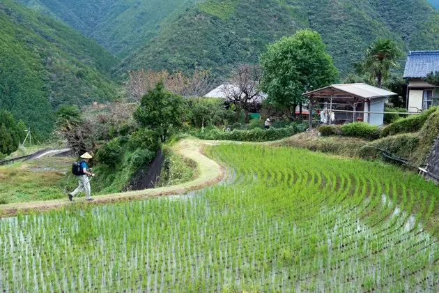 Le Kumano a plus d'avantages que tout autre chemin au Japon