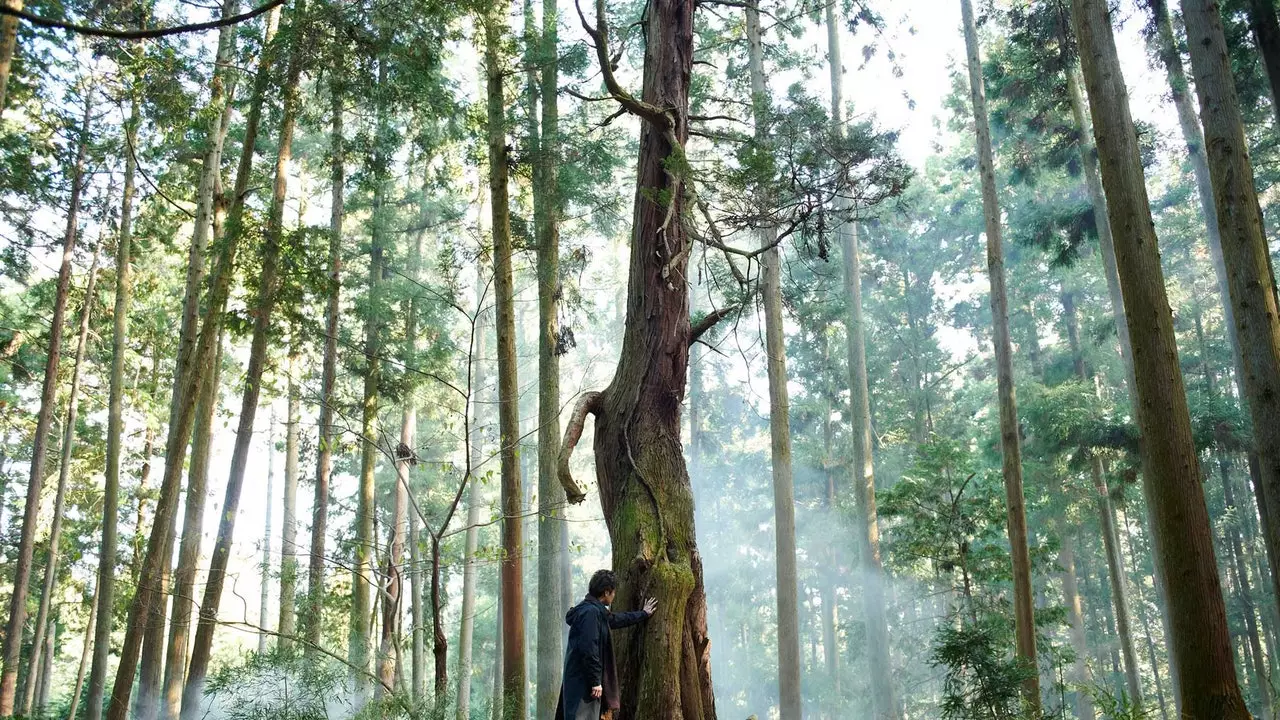 Iemīlēšanās lauku un dabas Japānā filmā “Ceļojums uz Naru”