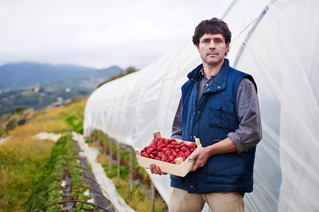 Produktion utanför den kommersiella kretsen är uppdraget för denna Maresme-plantage