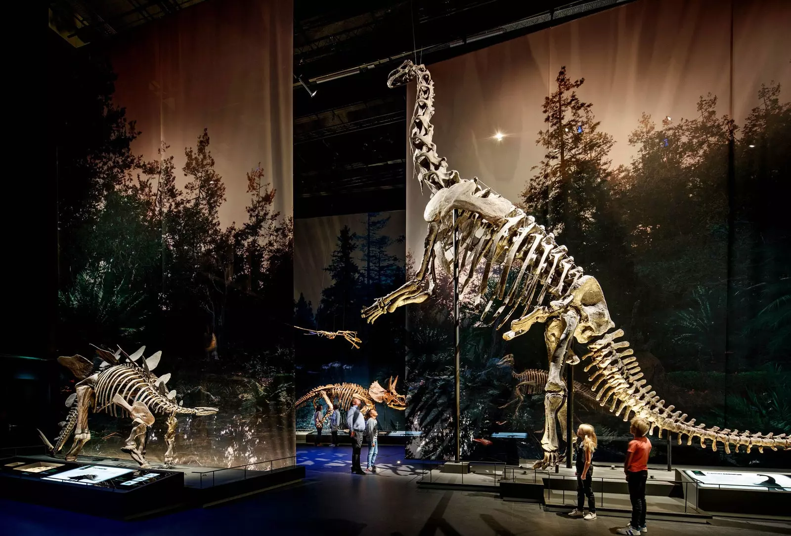 Naturalis Biyoçeşitlilik Merkezi