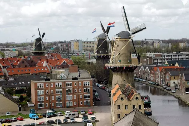 Krefjandi vindmyllur Schiedam