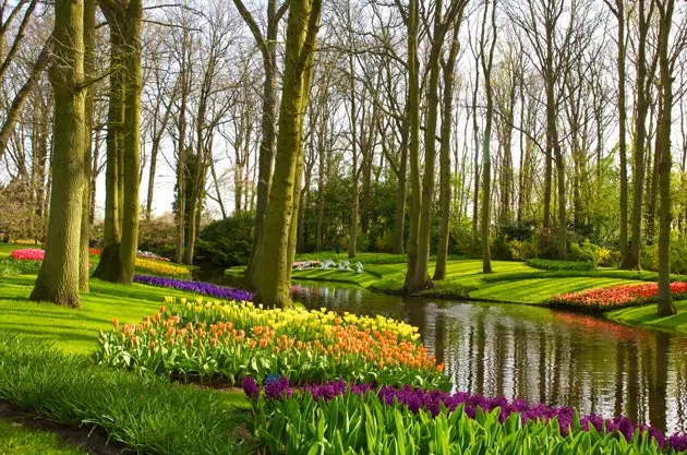 Keukenhof