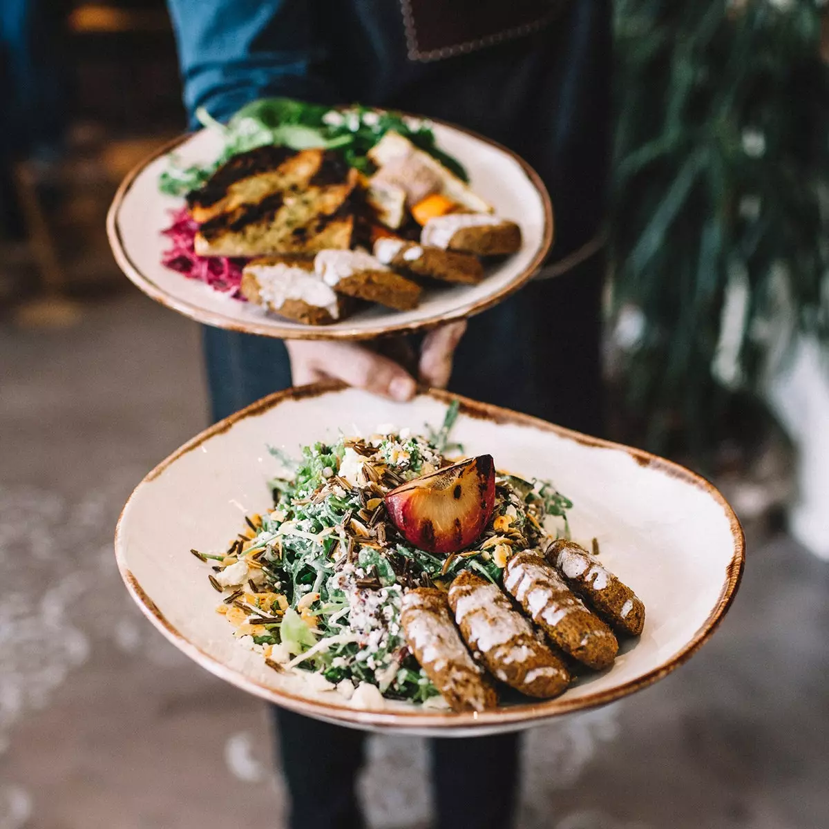 Hjemmelaget falafel med rødkålsurt hos Honest Greens