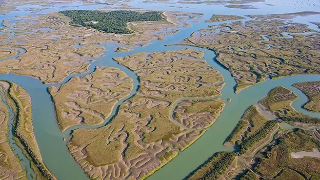 چگونه از Isla Minima لذت ببریم