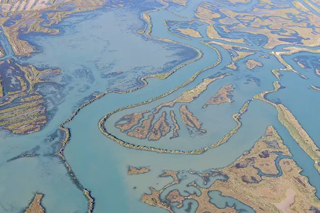 D'Guadalquivir Marshes