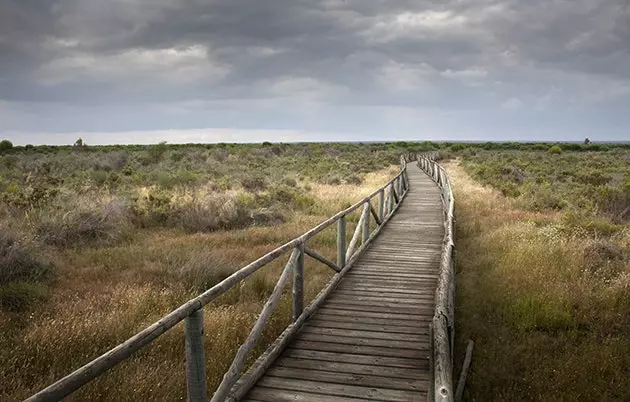 Zoek naar de kleine bewandelde paden