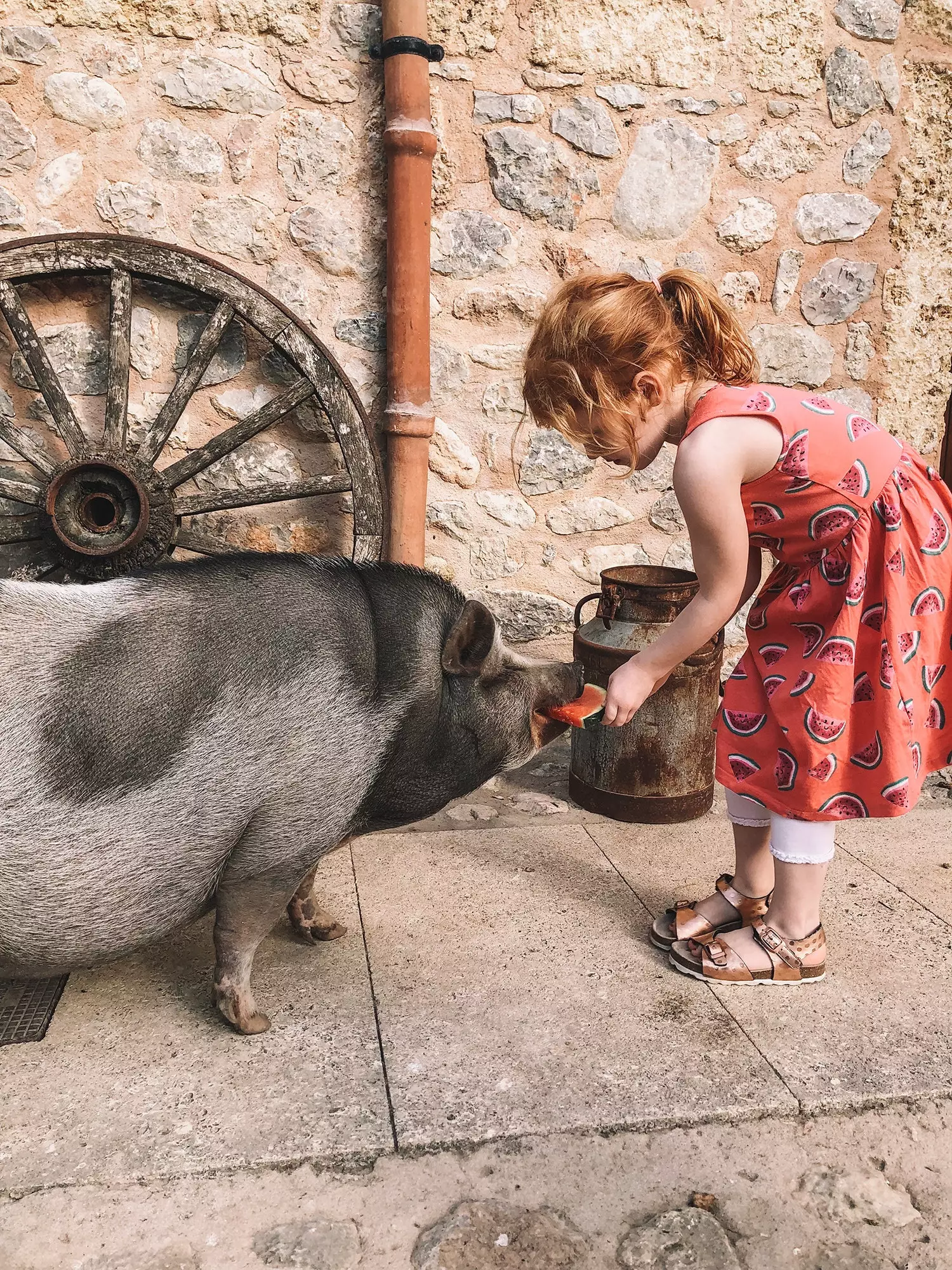 Sráidbhaile Vegan