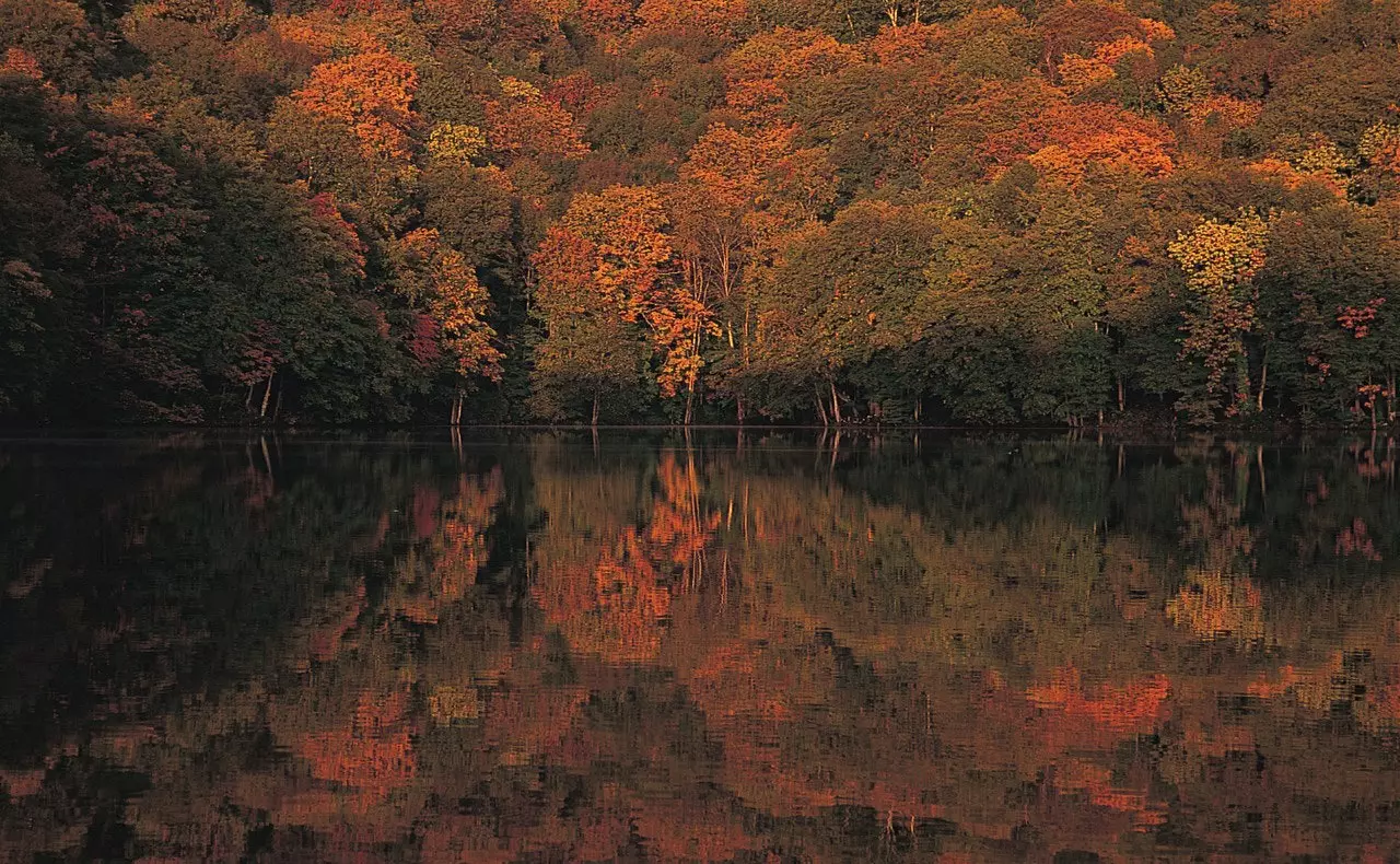 Chasing Fall Colors f'Hakkoda