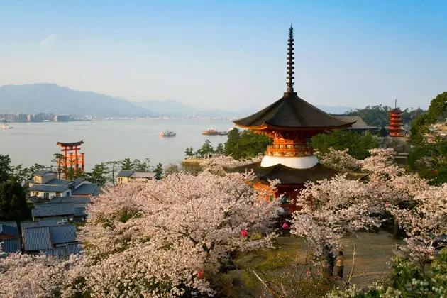 Fornøjelser i Japan Miyajima