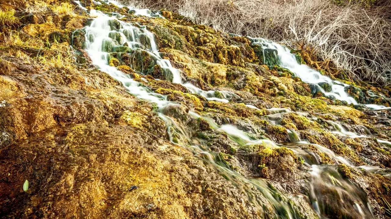 Lomo Morín, this is how man has created a natural sewage treatment plant in the Canary Islands