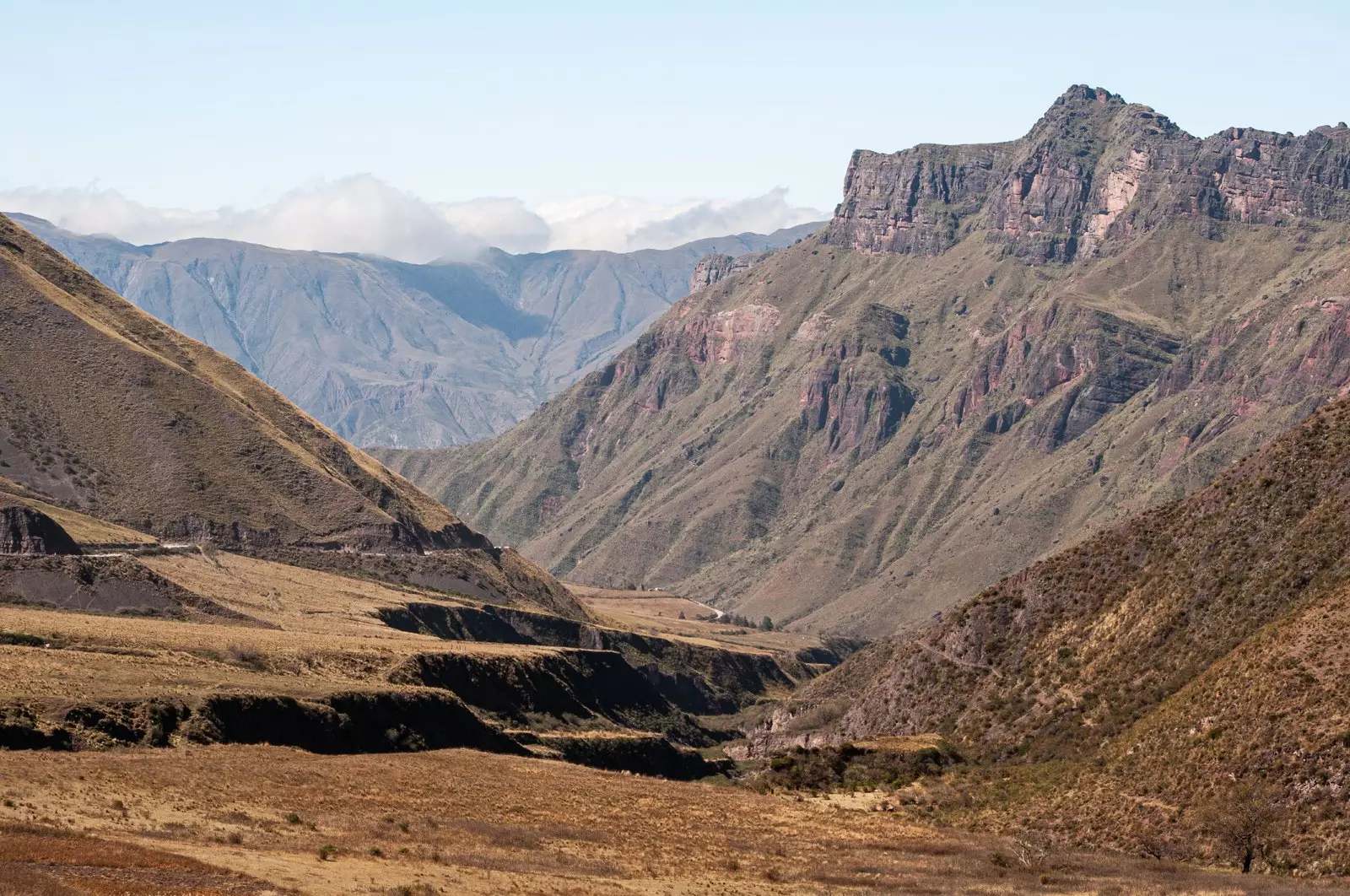 Calchaquin laakso