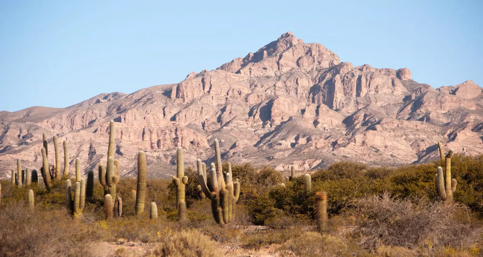 Los Cardones Nemzeti Park