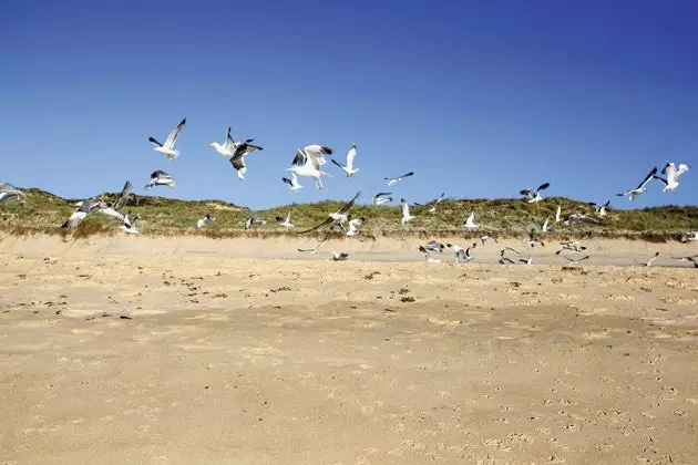 Jugozapadni park prirode Alentejo