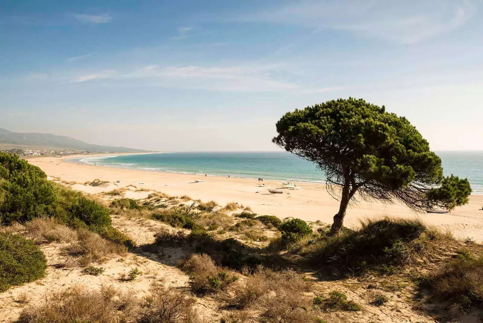 Bologna beach