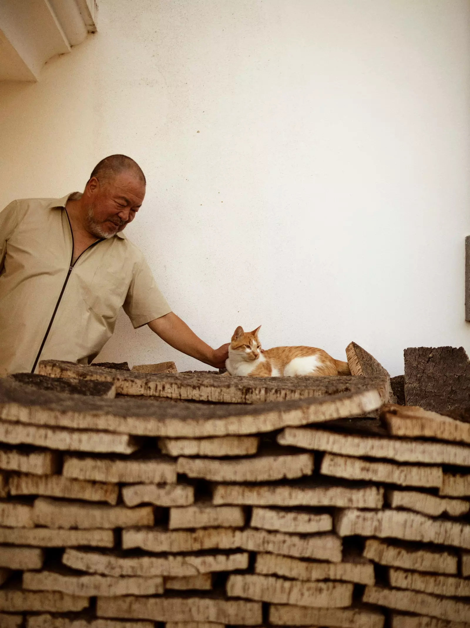 Ai Weiwei klappar sin katt.