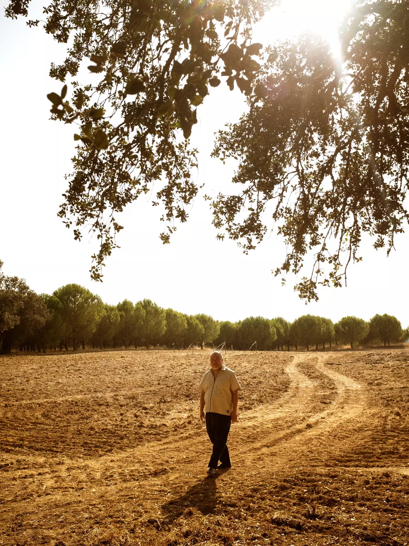 Di bawah matahari Alentejo.