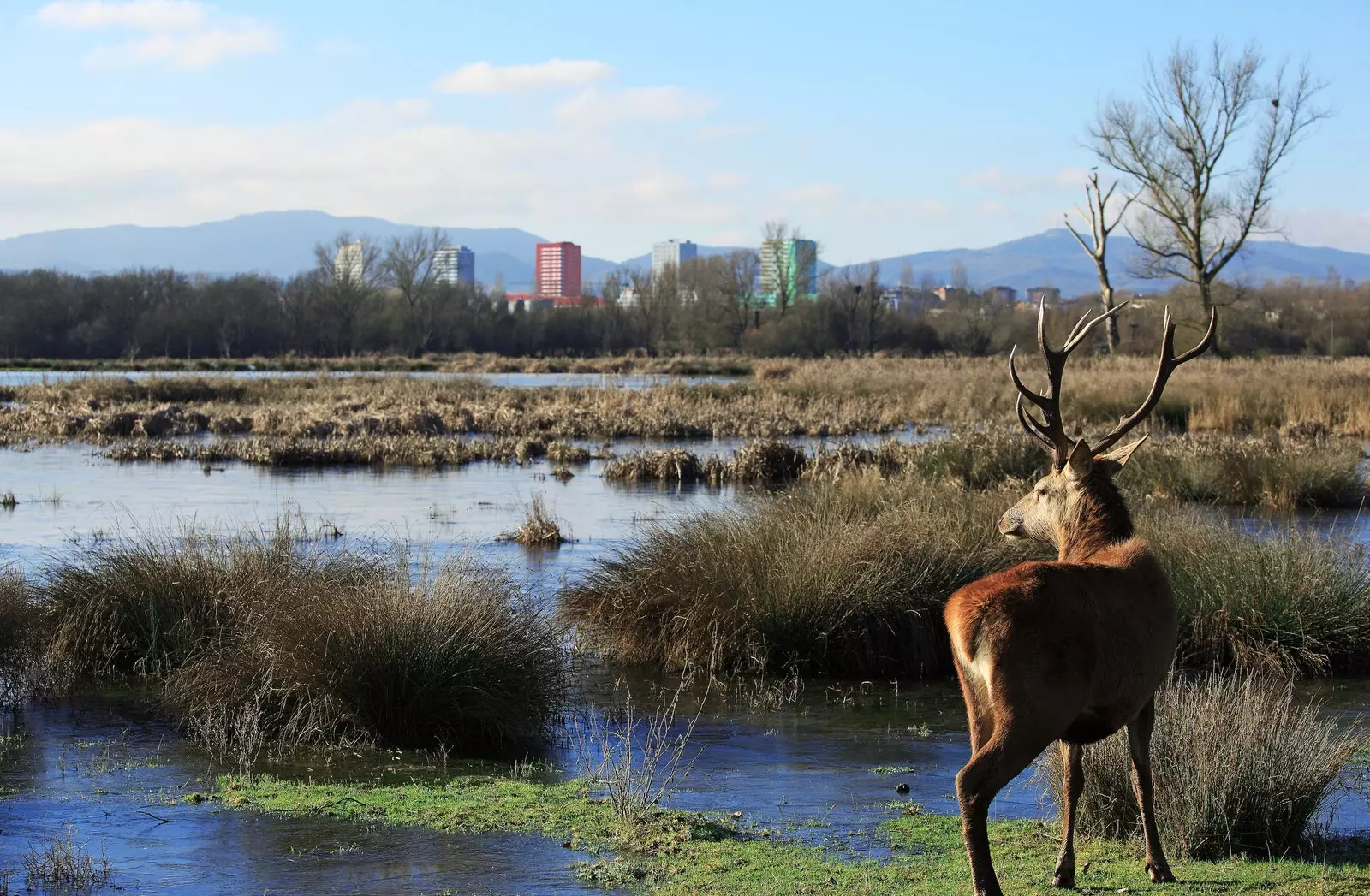 Os tesouros de VitoriaGasteiz a 'Cidade Verde Global'