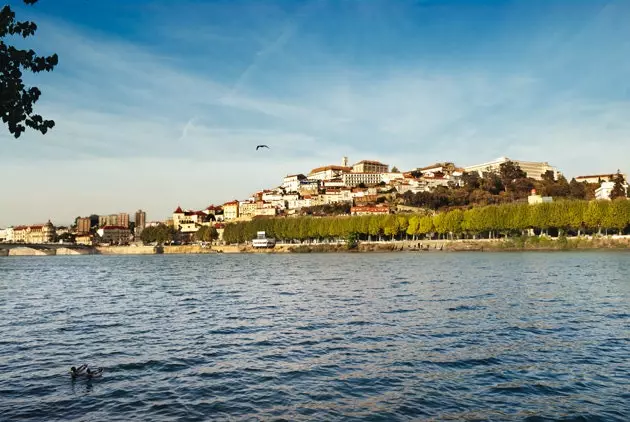 Coimbra Tepesi