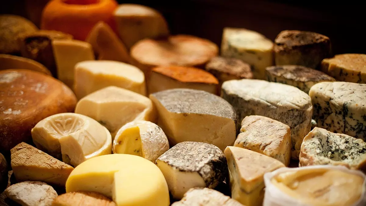 Traveler's Guide for a cheese lover