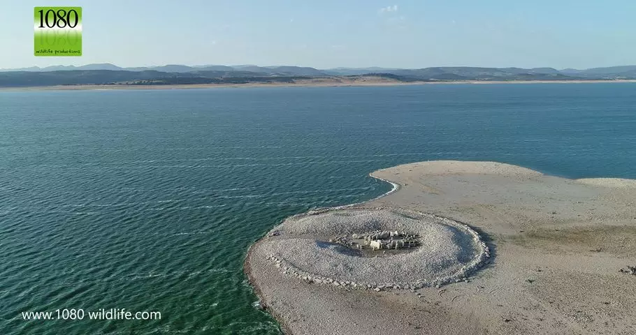 Luftaufnahme des Dolmen von Guadalperal von 1080 Wildlife