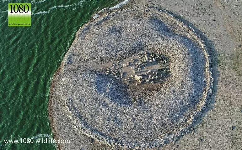 Légi felvétel a Guadalperal Dolmenről az 1080 Wildlife által