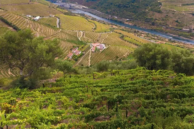 Toast op déi portugisesch vossa