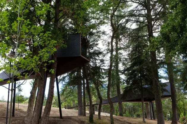 Tree house Portugal