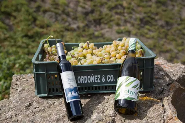 Bodegas Xorxe Ord ez Co