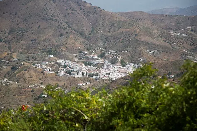 The landscapes of Bodegas Jorge Ord ez Co