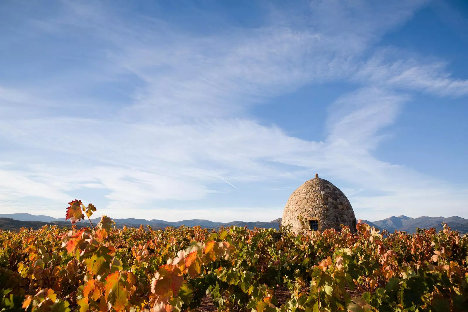 Wine travelers their favorite landscapes