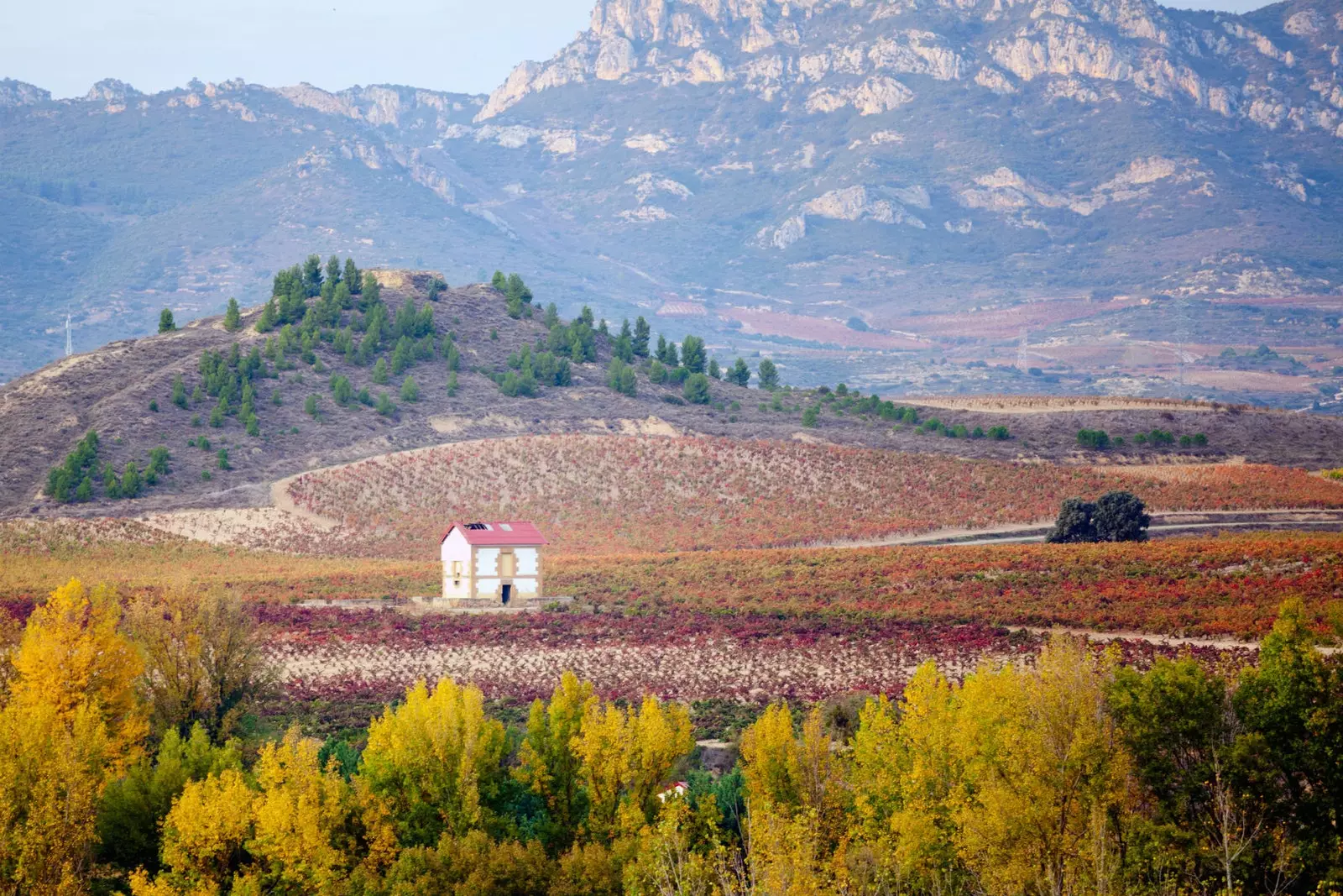 Ainava netālu no Haro La Rioja.