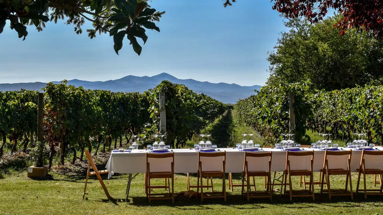 Am Fuße des Weinbergs, so schläft man in den Villen der Finca La Emperatriz